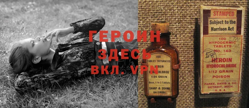 ГЕРОИН хмурый  Верея 