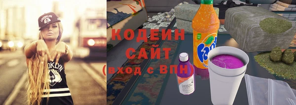 ГАЛЛЮЦИНОГЕННЫЕ ГРИБЫ Аркадак