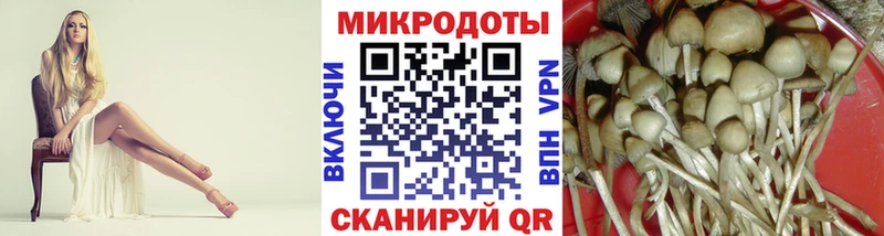 Галлюциногенные грибы MAGIC MUSHROOMS  закладки  Верея 